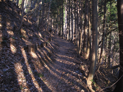 20170118hike (16)